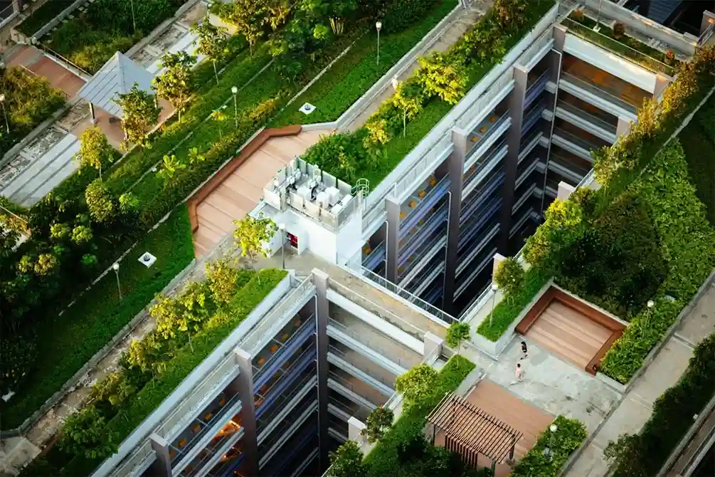 روف گاردن در شهرهای مدرن